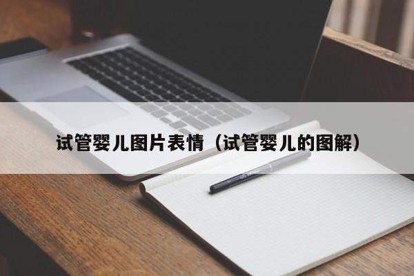 试管婴儿图片表情（试管婴儿的图解）