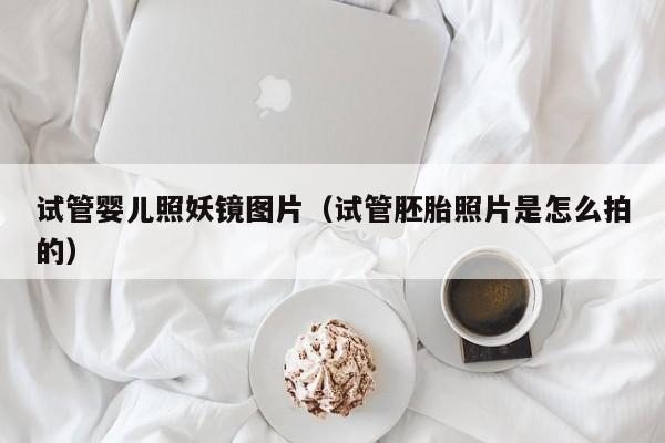 试管婴儿照妖镜图片（试管胚胎照片是怎么拍的）