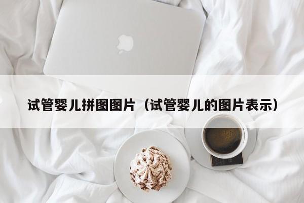 试管婴儿拼图图片（试管婴儿的图片表示）